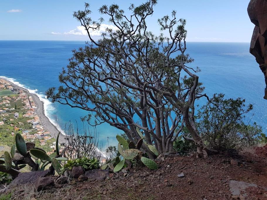 O Pomar - A Quiet Sunny Place With Amazing Sea Views 滨海保尔 外观 照片